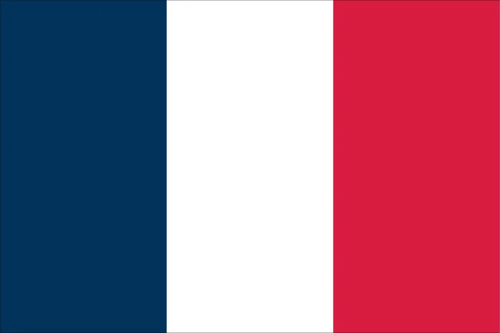 Tradução de documentos para francês